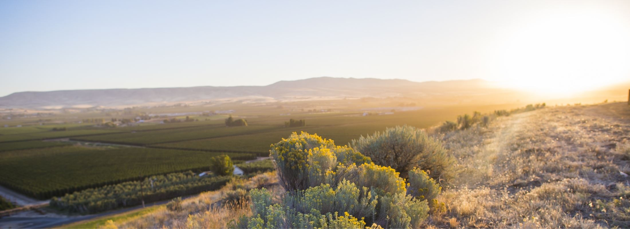 yakima valley tourism