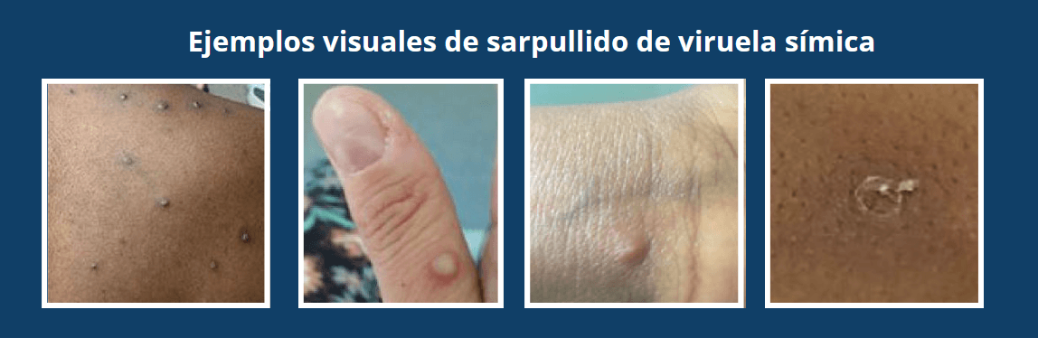 MicrosoftTeams-image (4)