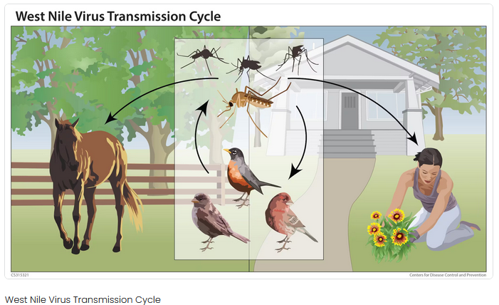 Screenshot 2024-08-07 095741