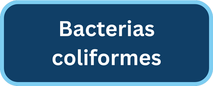 SPA coliform bacteria button